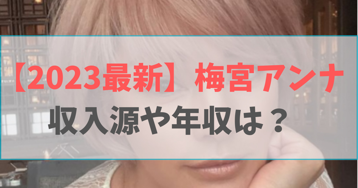 梅宮アンナの現在の収入源や年収は？